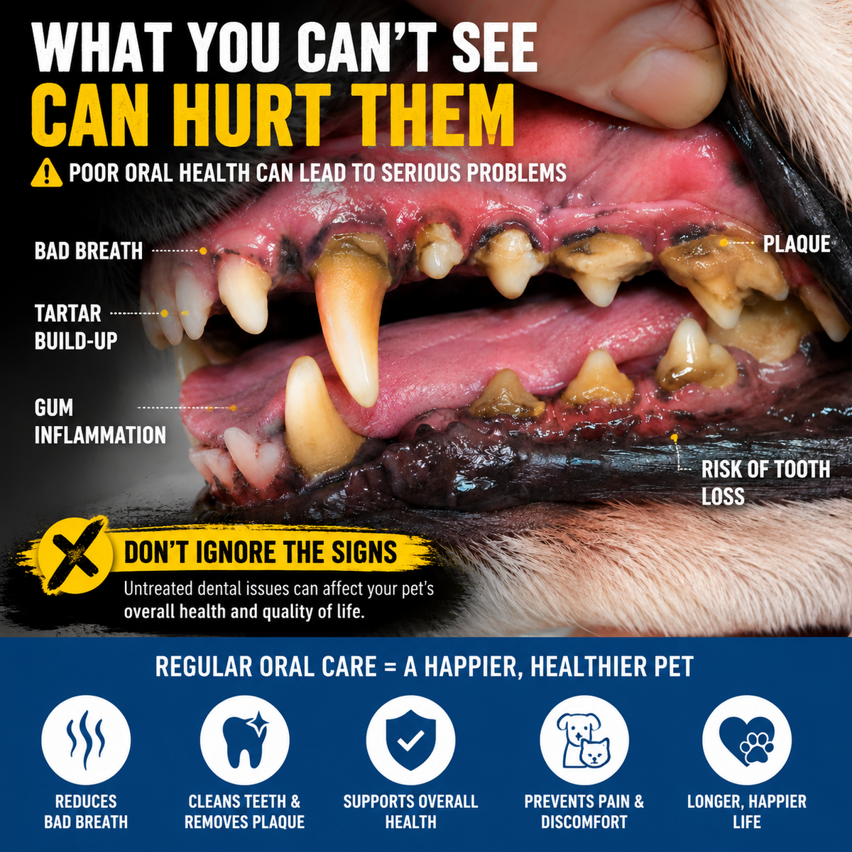 stalemp pet dental care – image 2